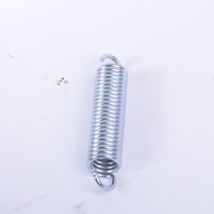 G-opruga G 189.029.70R    10464