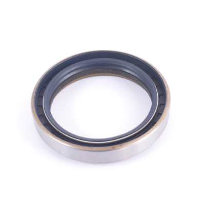 Semering W187-NB2-GD TAFM 65X85X13/17